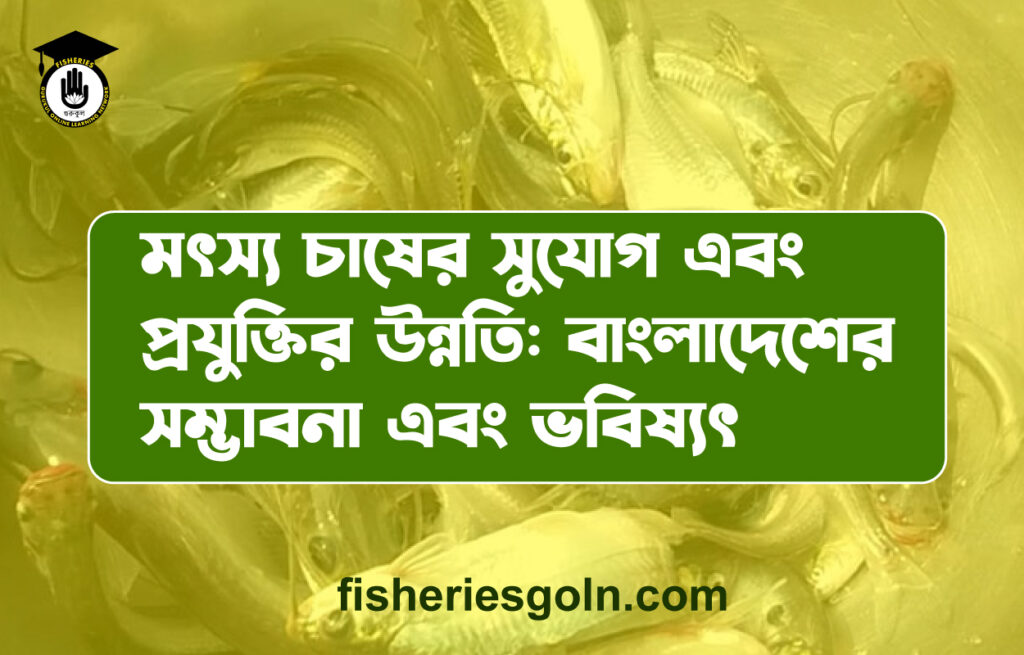 মৎস্য চাষের সুযোগ এবং প্রযুক্তির উন্নতি: বাংলাদেশের সম্ভাবনা এবং ভবিষ্যৎ